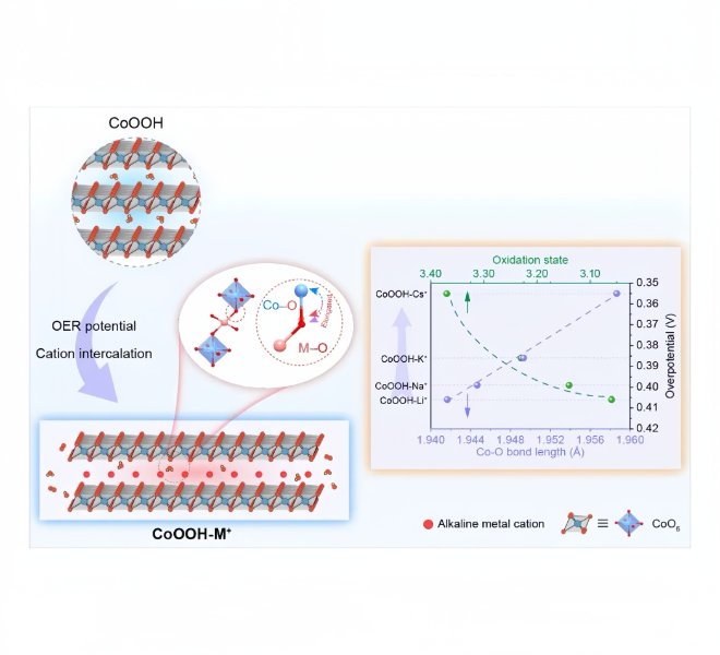 Angew's desktop in situ XAFS reveals the electrolyte cation-dependent kinetics of the OER process in situ for the first time