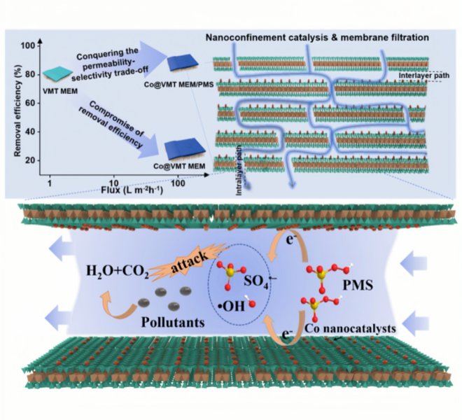 Anhui absorption spectrum RapidXAFS facilitates the characterization of 2D Co functionalized vermiculite films, and the scientific research results were published in Nature Communications