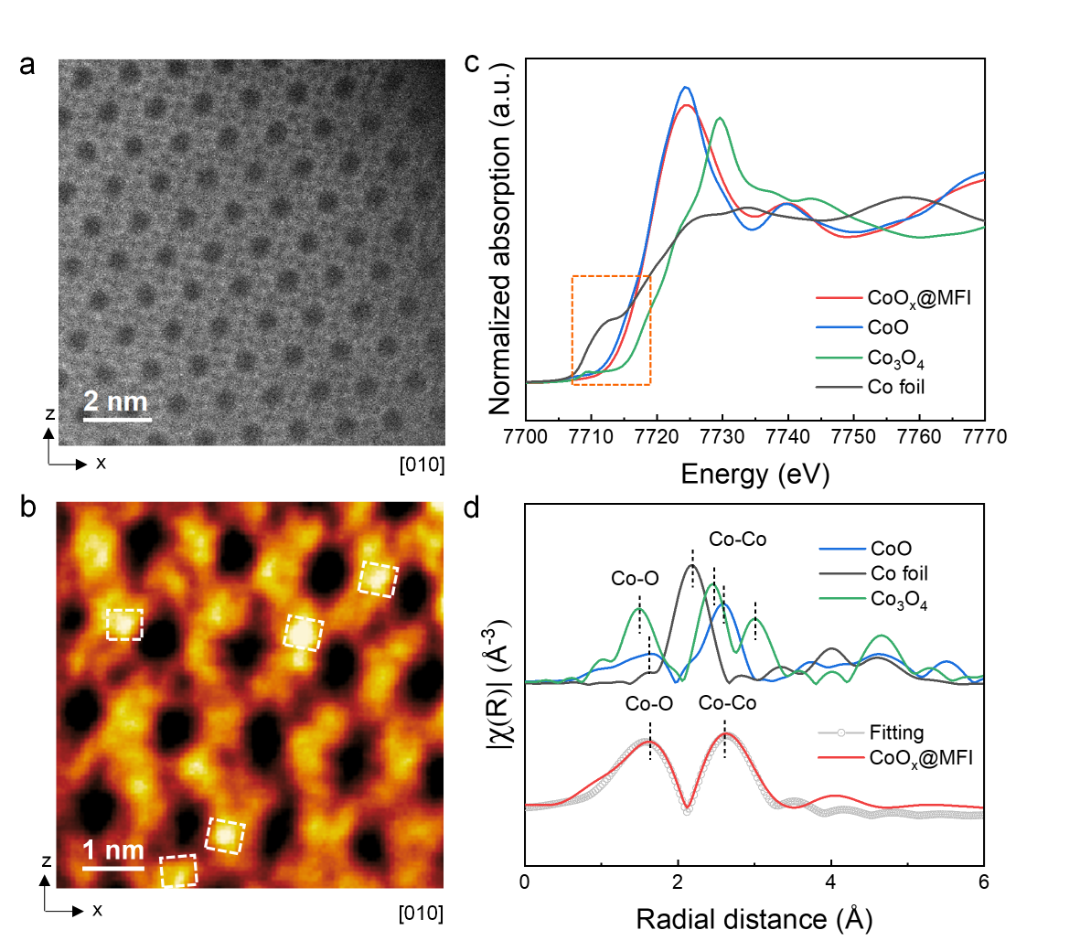 1700633468375565.jpg 3.jpg