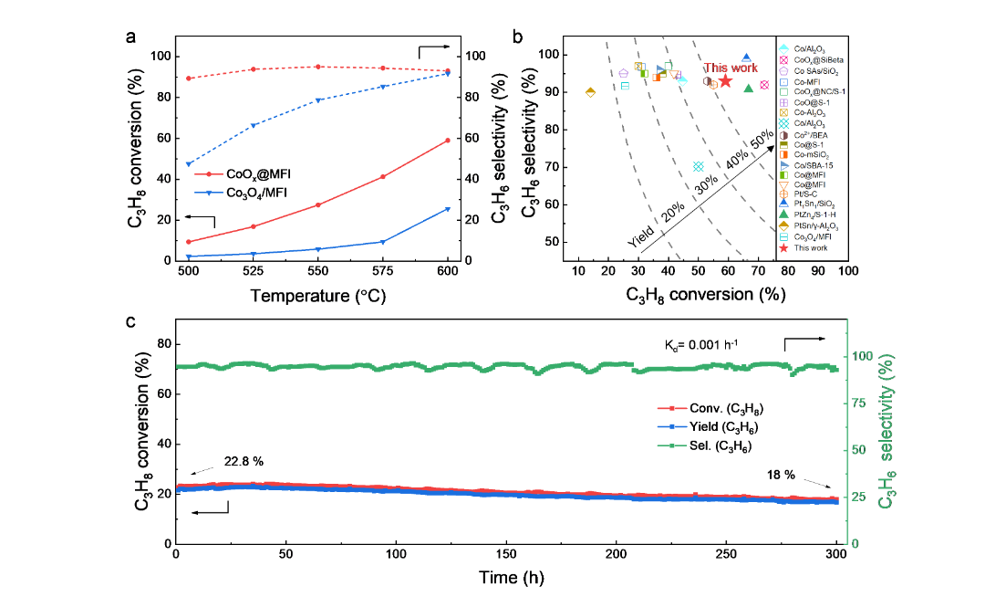 1700633490291732.jpg 4.jpg