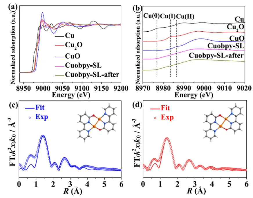 1713234444834364.webp 3.webp