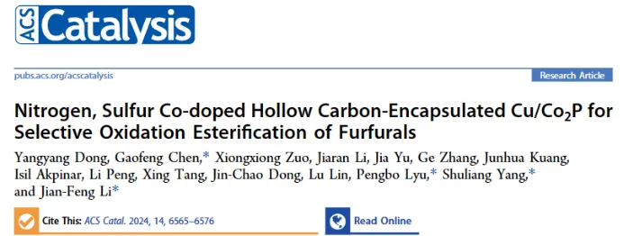 1715650716336002.webp 1.webp