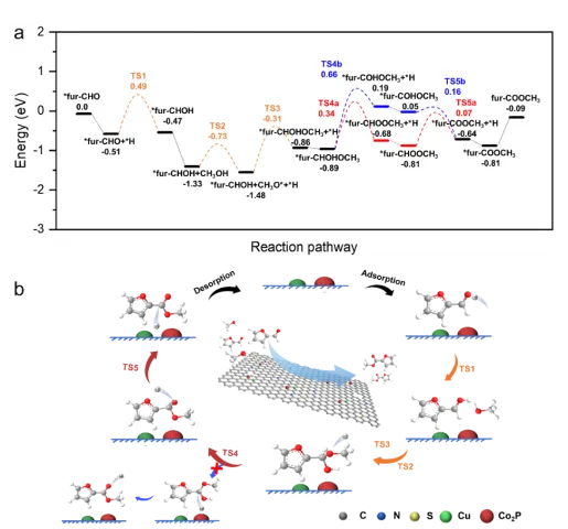 1715650890674913.webp 6.webp