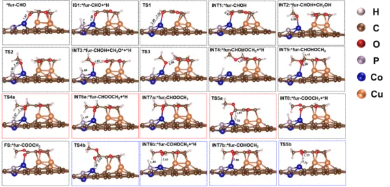 1715650910682361.webp 7.webp