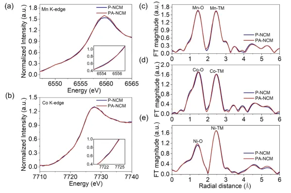 1716966155331479.webp 3.webp