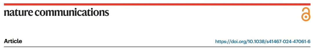 1733192250228335.webp 1.webp