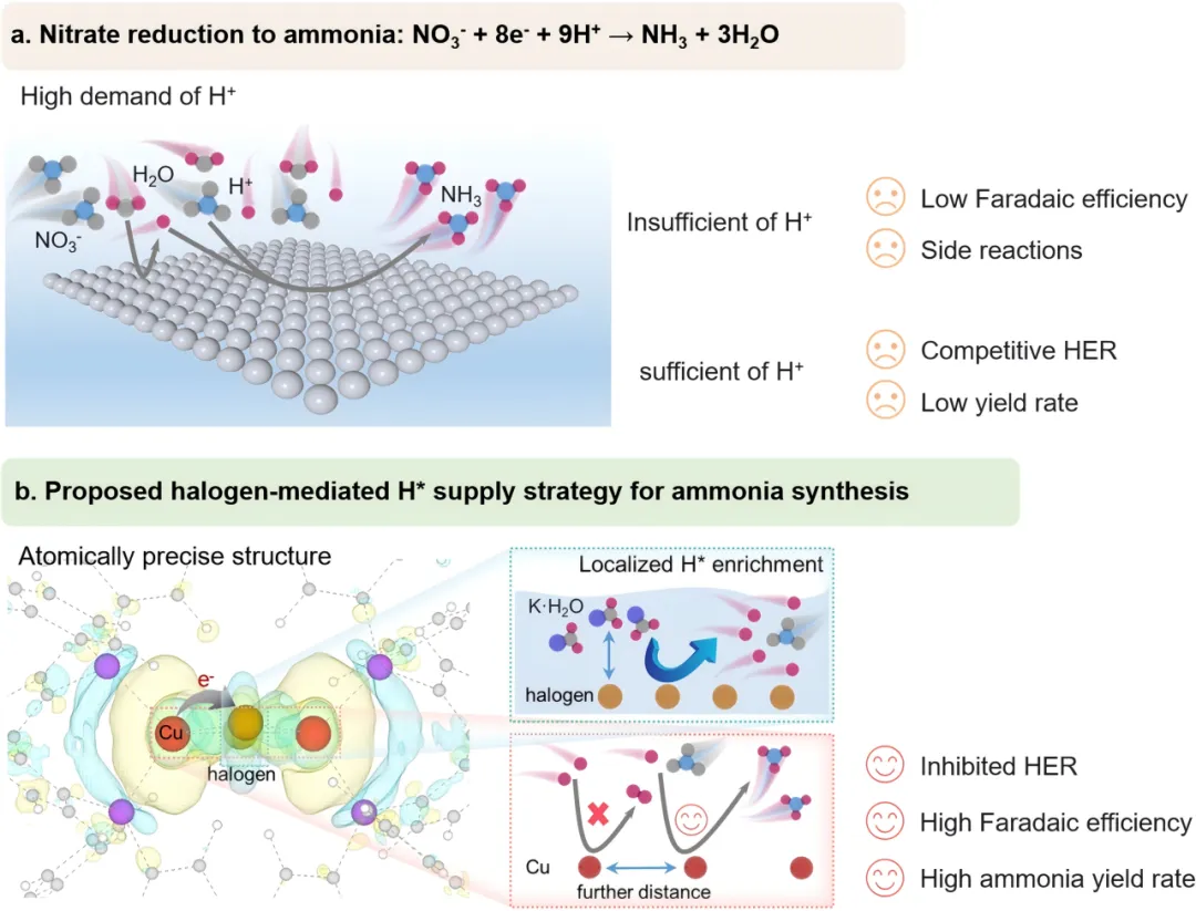 1733738416483425.webp 2.webp