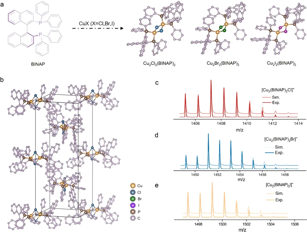 1733738431116271.webp 3.webp