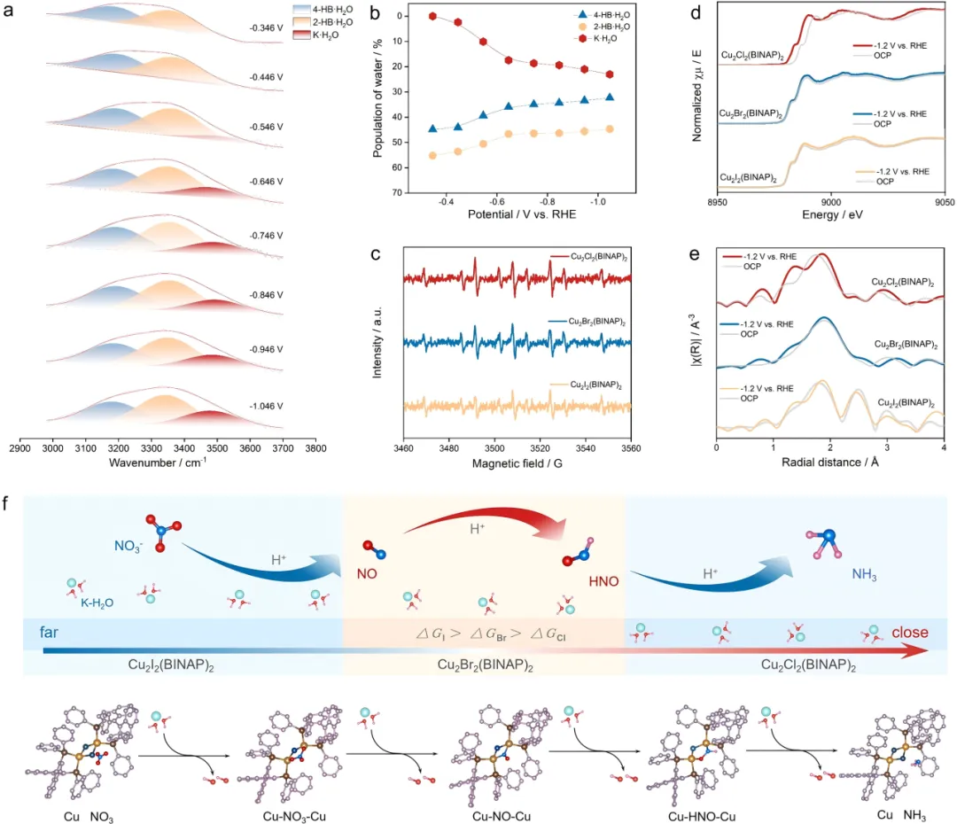 1733738513762608.webp 6.webp