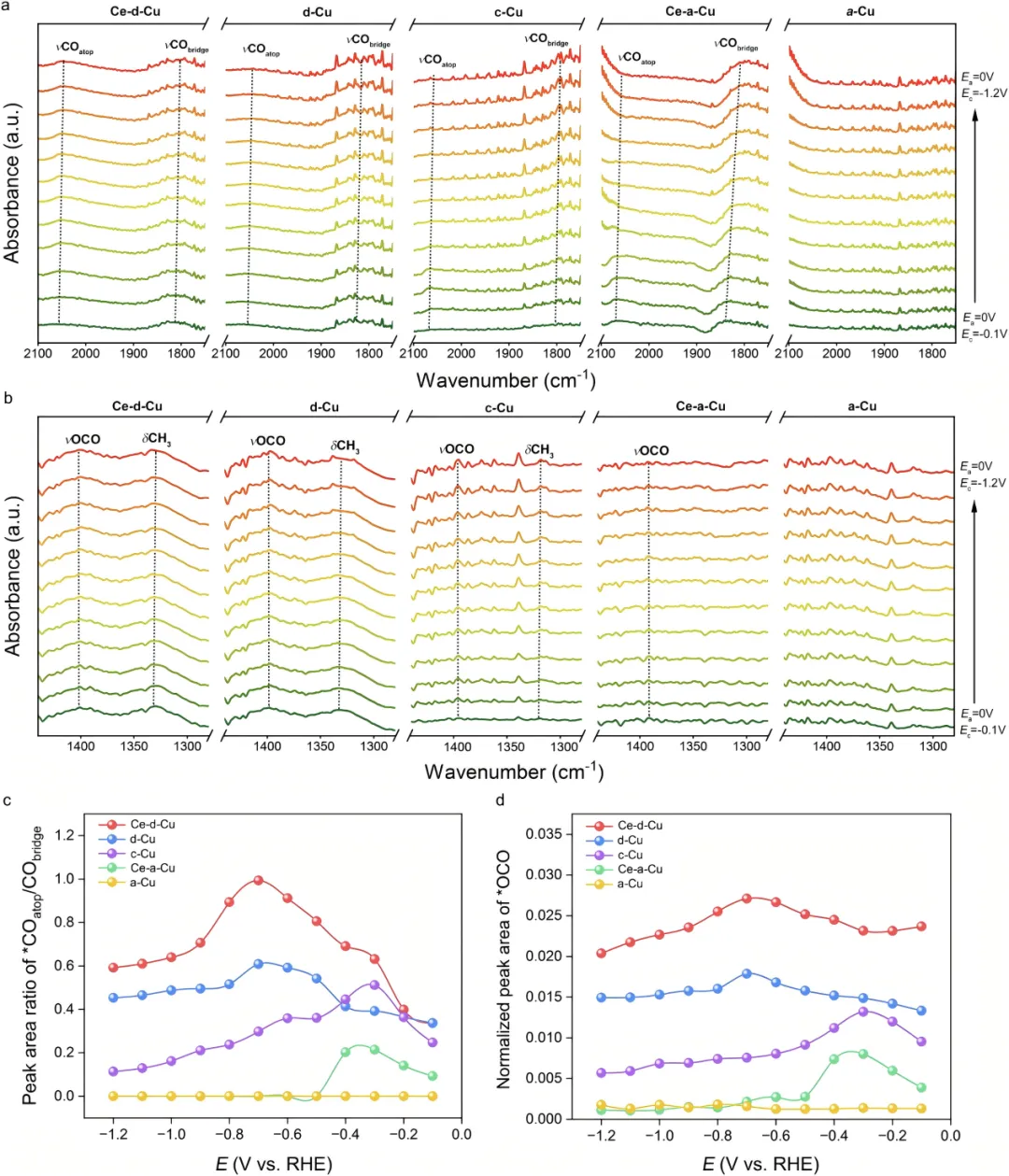 1744347932998578.webp 1.webp
