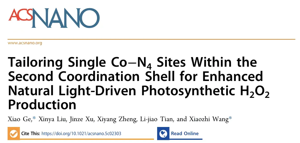 1744363626622384.webp 1.webp