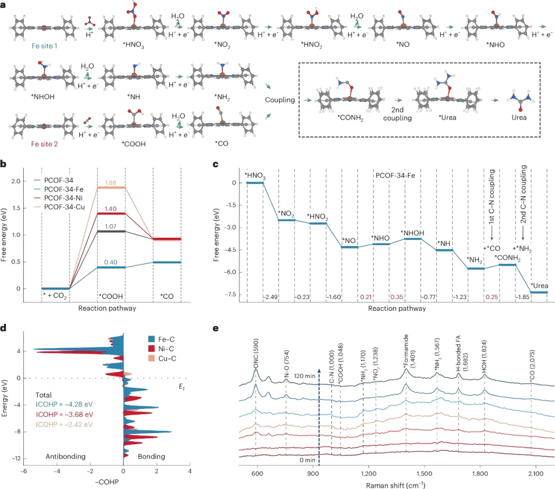 1744787077827999.webp 1.webp