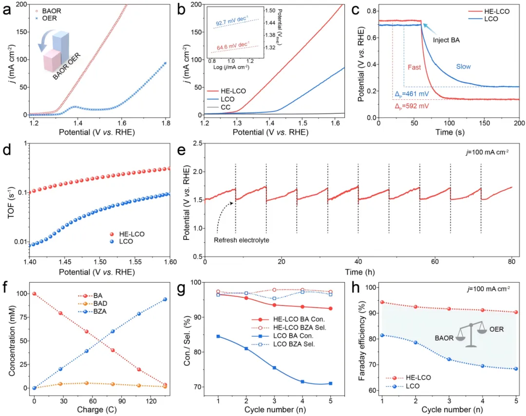 1745204278401061.webp 1.webp