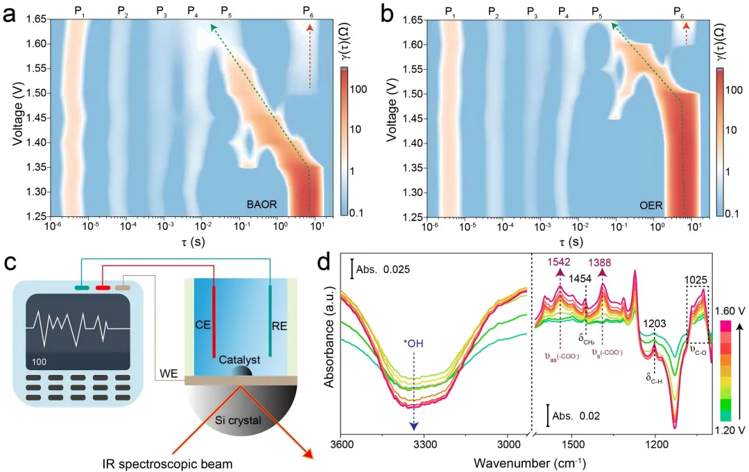 1745204323522208.webp 1.webp