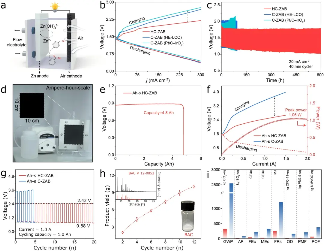 1745204427860995.webp 1.webp