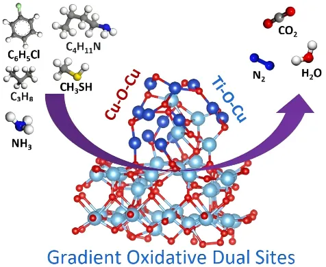 1745227487451342.webp 1.webp