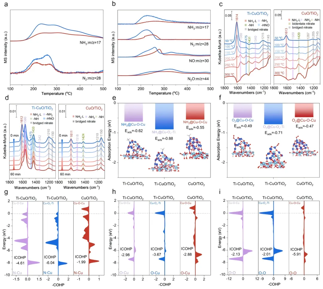 1745227693977524.webp 1.webp