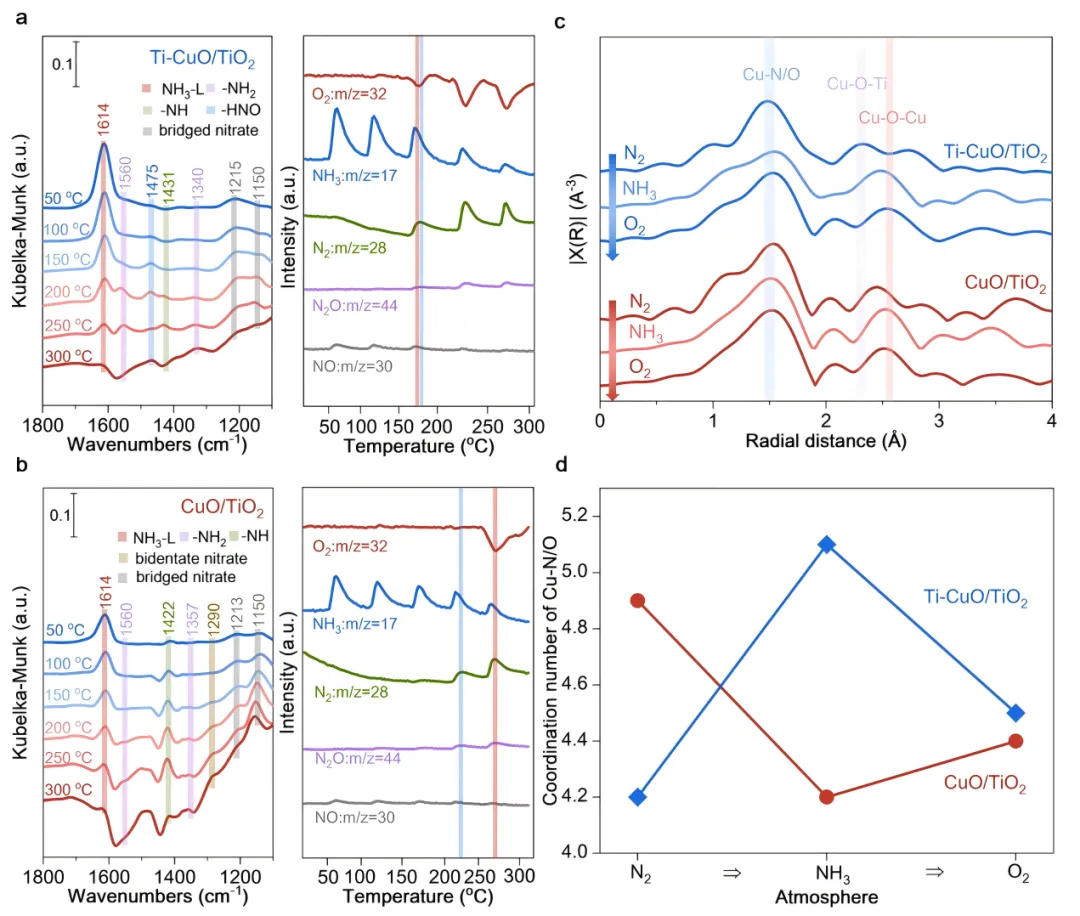 1745227730378107.webp 1.webp