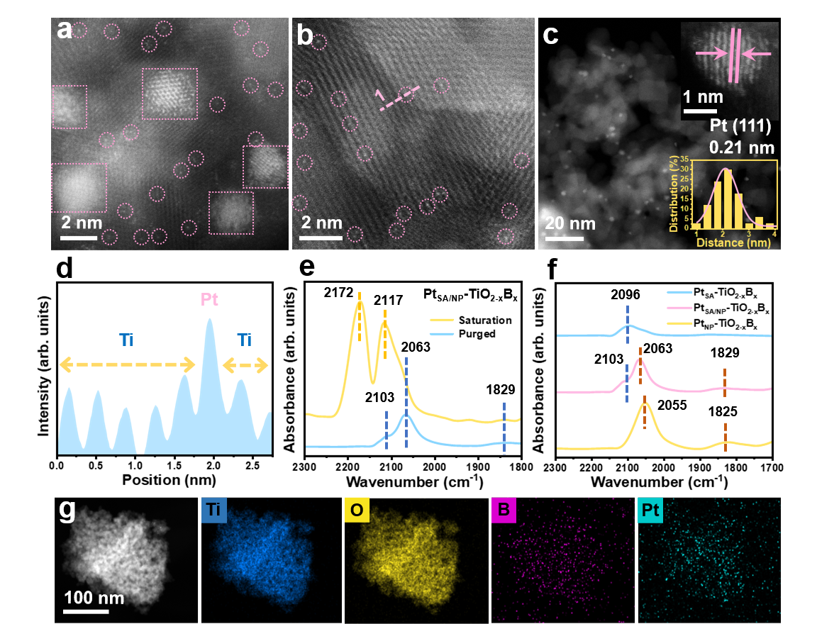 1763017499425774.png image.png