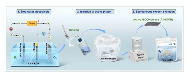 1763601800672040.png image.png