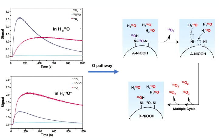 1763601847895574.png image.png