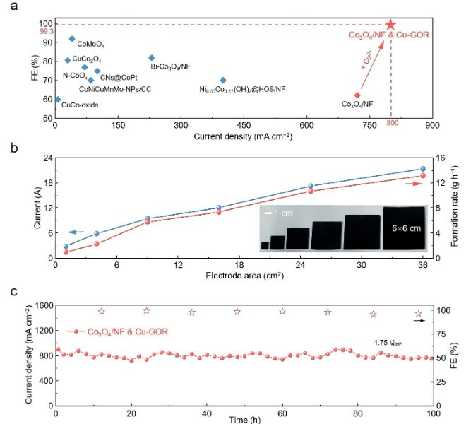 突破99.3%！现任金属所所长、国家杰青刘岗揭秘Cu²⁺动态“铠甲”机制，登顶Nature Sustainability！